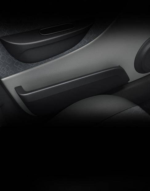 Driver & Co-Passenger Storage Pocket Driver & Co-Passenger Storage Pocket