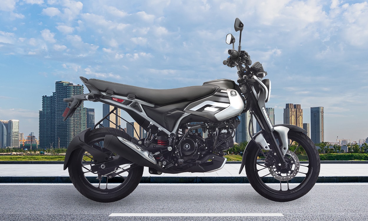 Freedom Bg 3 Freedom Bg 3