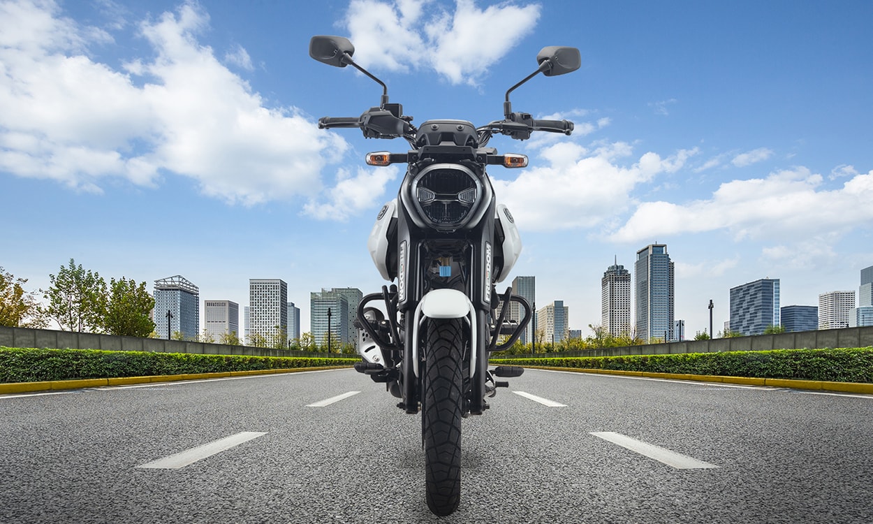 Freedom Bg 4 Freedom Bg 4