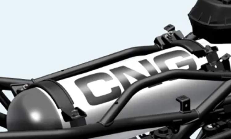 Protective Trellis Frame Protective Trellis Frame images