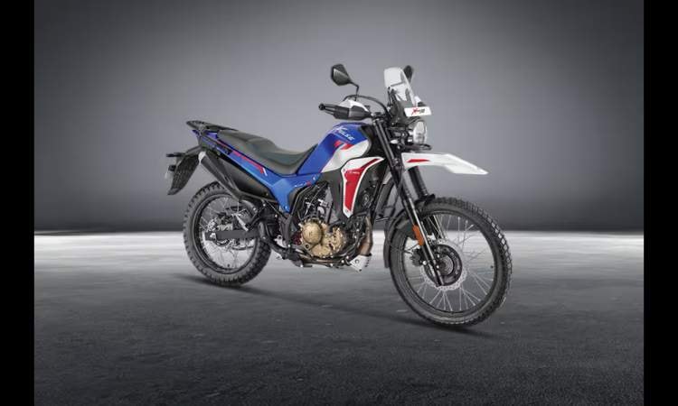 Xpulse 210678a6eddd6621 Xpulse 210678a6eddd6621