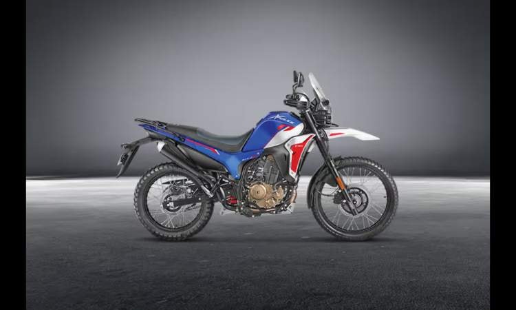 Xpulse 210678a6f486f003 Xpulse 210678a6f486f003