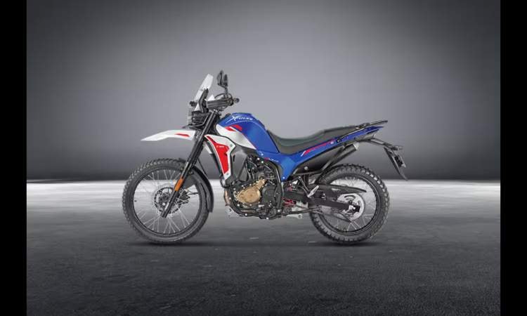 Xpulse 210678a6f498ca65 Xpulse 210678a6f498ca65