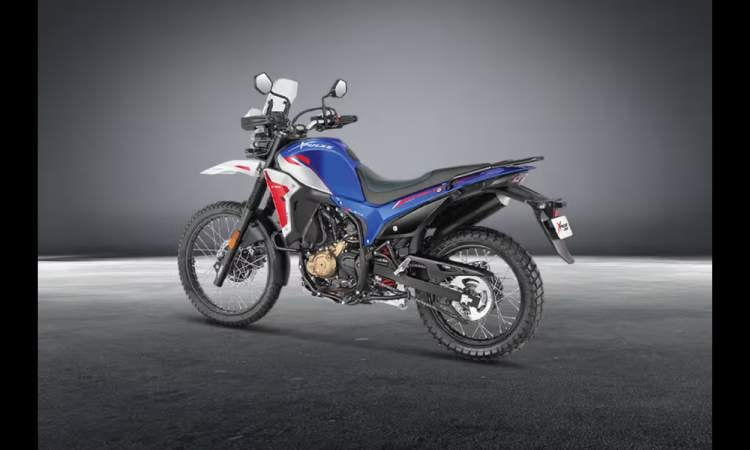 Xpulse 210678a6f4a455a0 Xpulse 210678a6f4a455a0