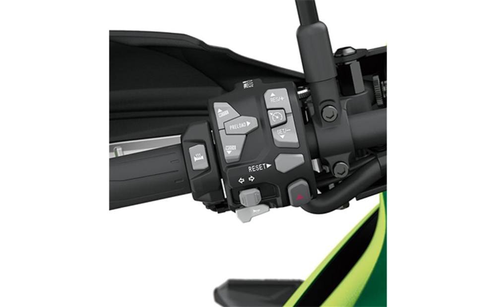 Electronic Cruise Control Electronic Cruise Control