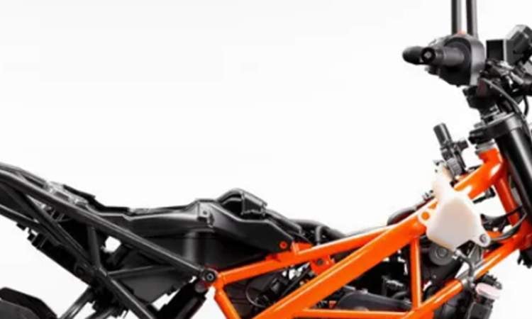 Split Steel Trellis Frame Split Steel Trellis Frame