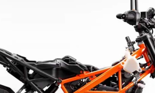 Split Steel Trellis Frame Split Steel Trellis Frame