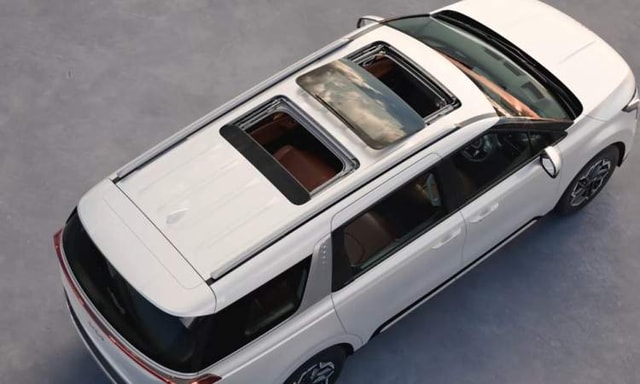 Kia Carnival Topview Kia Carnival Topview