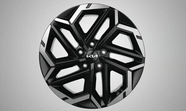 Kia Carnival Wheel Cover Kia Carnival Wheel Cover