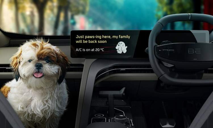 mahindra be6e beautiful setring mahindra be6e beautiful setring images