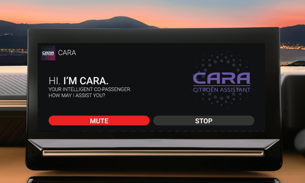 Information Display  Information Display