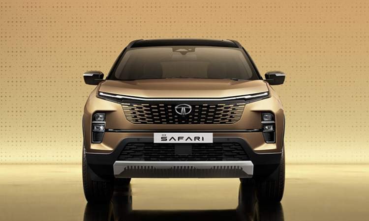 Tata Safari Colored Grille Tata Safari Colored Grille