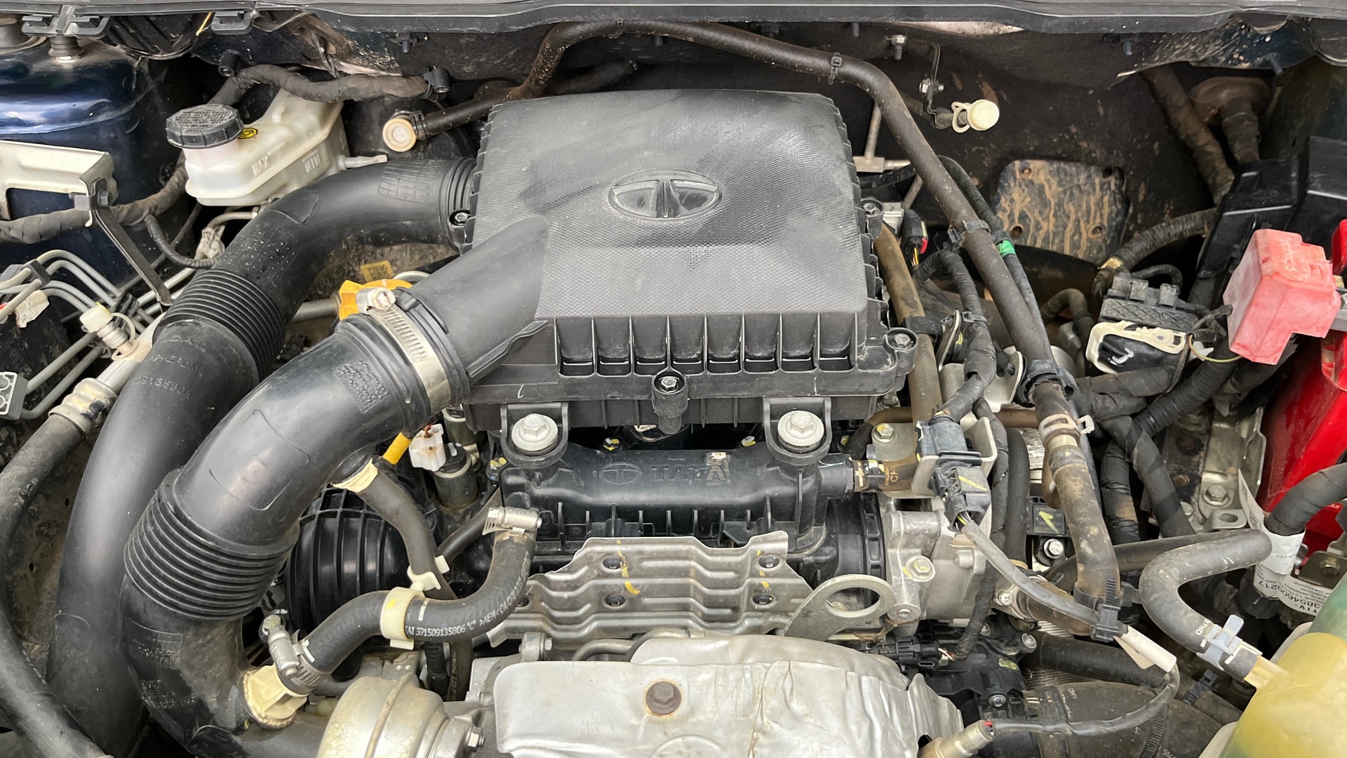 Used 2024 Tata Nexon Used 2024 Tata Nexon