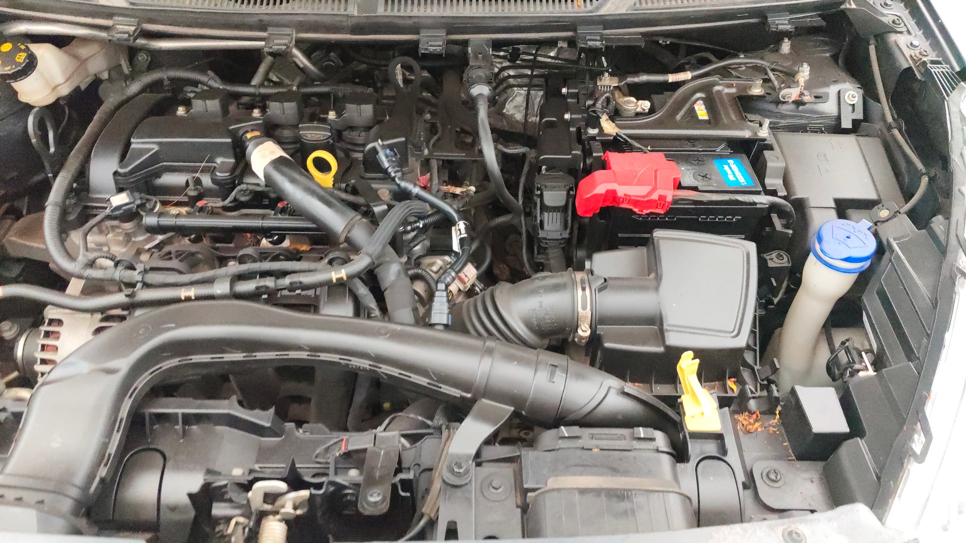 Used 2021 Ford Freestyle Used 2021 Ford Freestyle