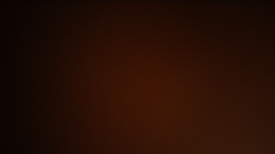 Used 2008 Fiat Palio Stile Used 2008 Fiat Palio Stile