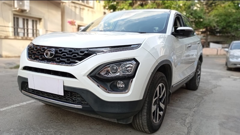 Harrier image 1 Harrier image 1