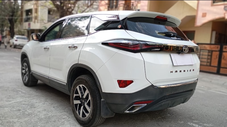 Harrier image 3 Harrier image 3