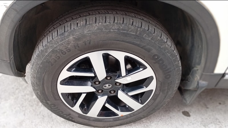 Harrier image 9 Harrier image 9