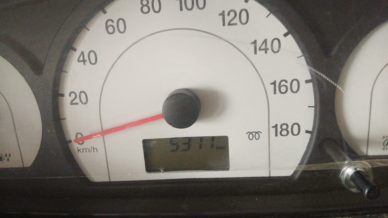 Xylo image 3 Xylo image 3