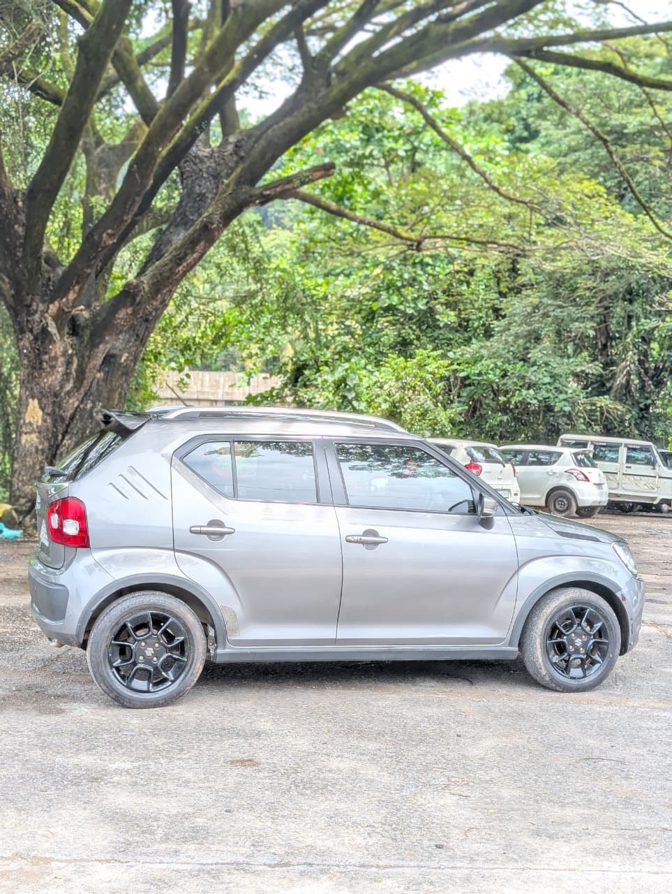 Used 2019 Maruti Suzuki Ignis Used 2019 Maruti Suzuki Ignis