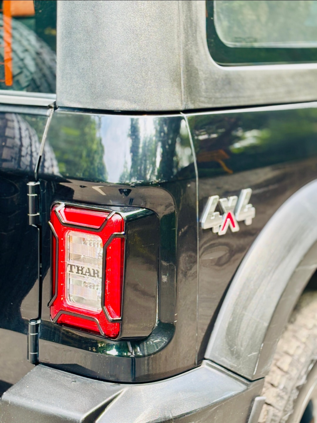 Thar image 6 Thar image 6