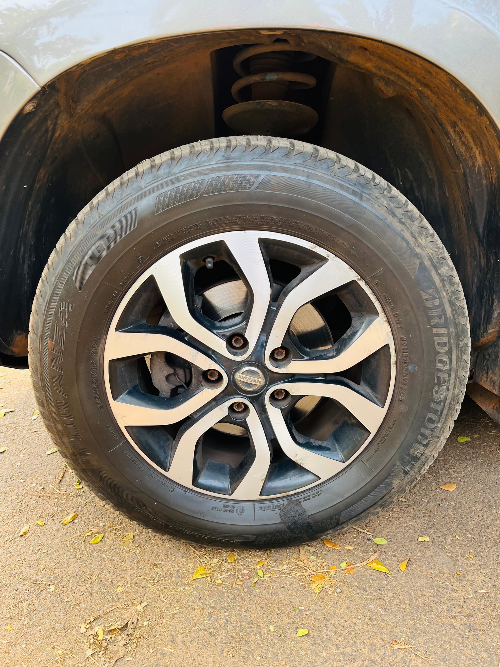 Terrano image 9 Terrano image 9