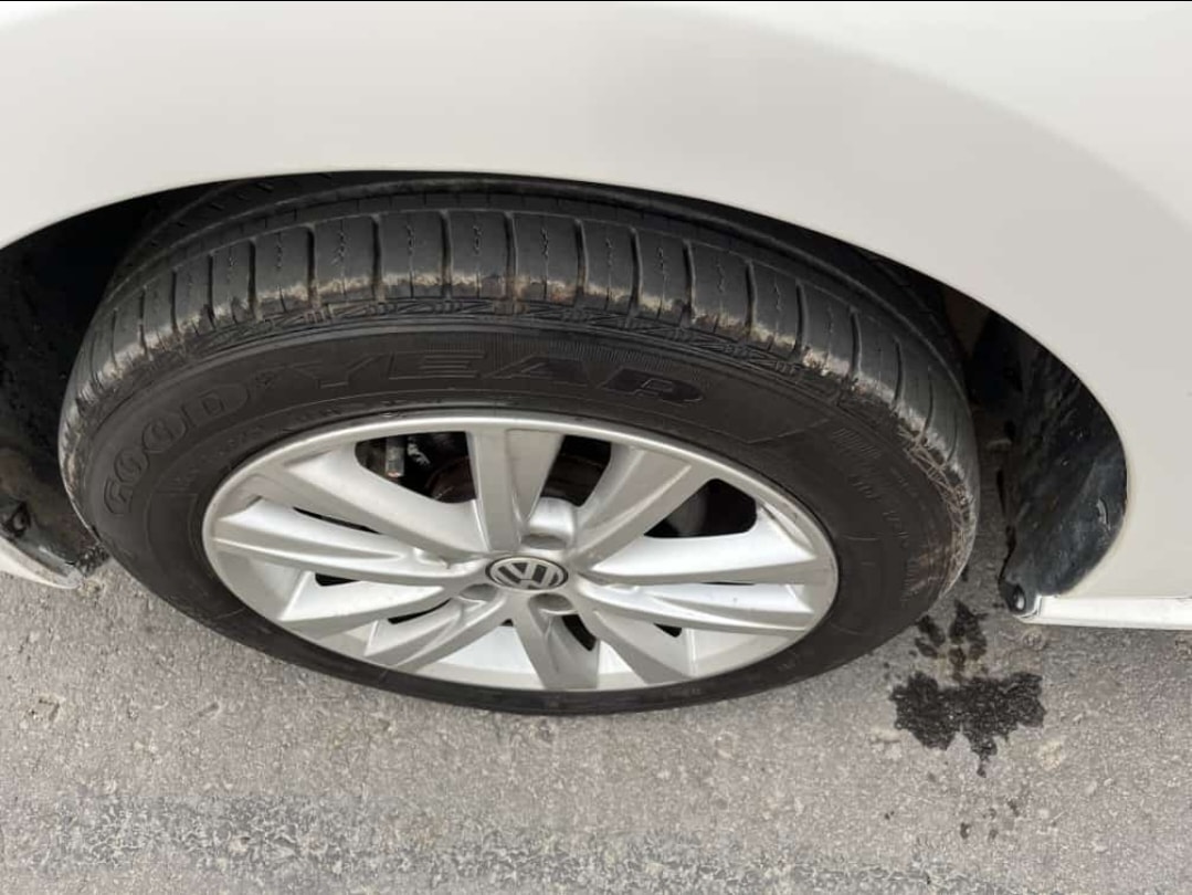 Polo image 9 Polo image 9