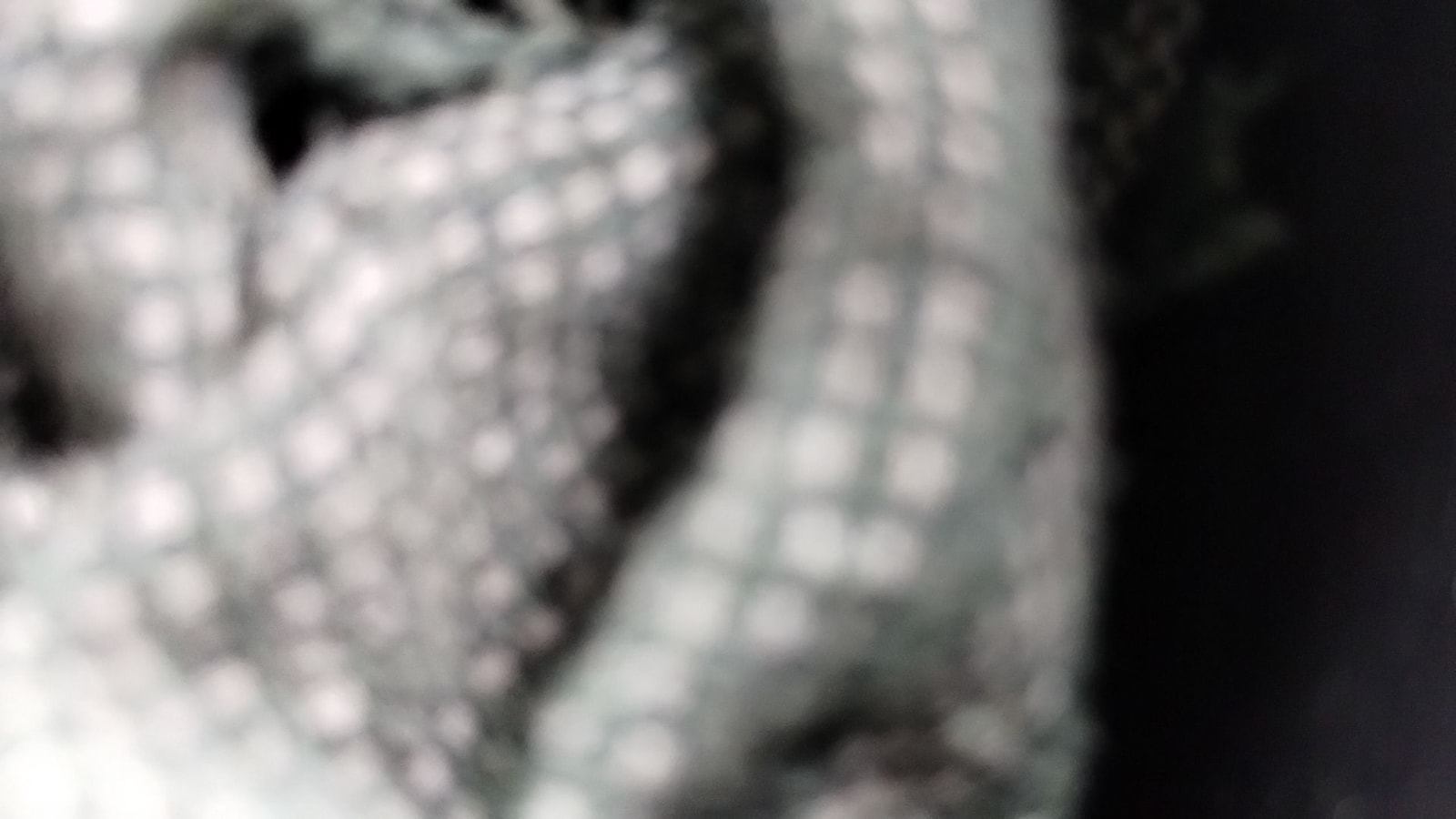 Bolero image 13 Bolero image 13